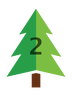 Douglas fir icon - 2